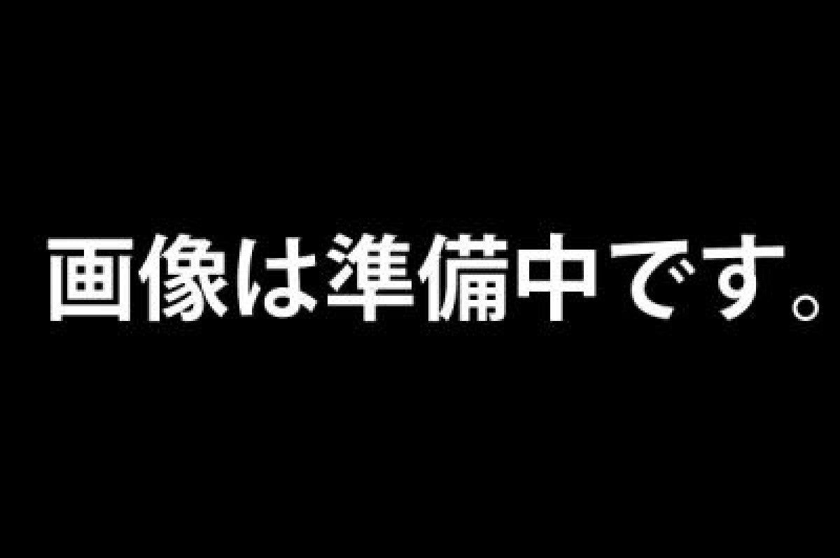 松阪牛まかない肉　タレ漬け　500g(冷凍のみ)